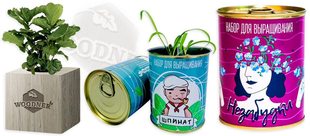 набори для вирощування