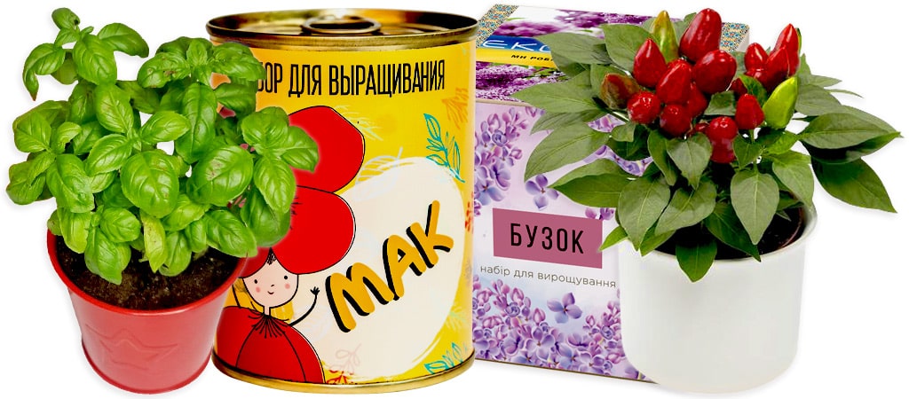 набори для вирощування