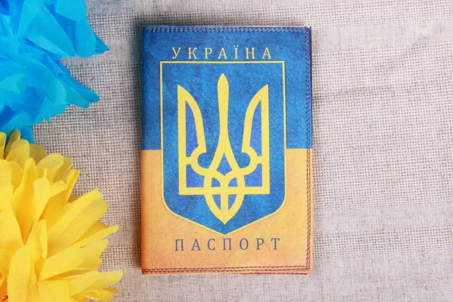 Паспорт Украины обложка