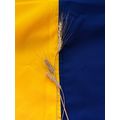 фото 1 - Флаг Ukraine_prapor Украины из атласа