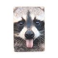 фото 1 - Постер "Raccoon #1"