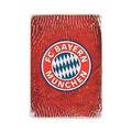 зображення 1 - Постер "Football #16 FC Bayern emblem"