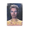 зображення 1 - Постер "David Bowie #1"