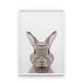 фото 1 - Постер Cool Poster "Кролик в кадре" 30х40