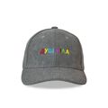 зображення 1 - Кепка вельвет сіра "Душніла" Papadesign