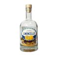 фото 1 - Смесь для коктейля Drink Master "Limoncello"