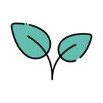 Натуральные конфеты