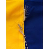 Прапор Ukraine_prapor України  з атласу