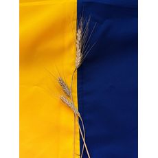 зображення 1 - Прапор Ukraine_prapor України  з атласу