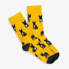 фото 1 - Шкарпетки "Французькі бульдоги" Prizmo