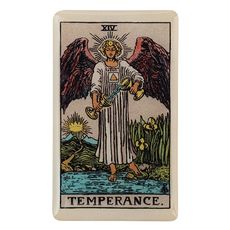 фото 1 - Обьемный стикер "Таро Помірність" NokNok