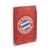 зображення 3 - Постер "Football #16 FC Bayern emblem"