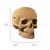 фото 10 - Картонный конструктор "Cartonic 3D Puzzle SKULL" 1DEA.me