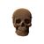 фото 4 - Картонный конструктор "Cartonic 3D Puzzle SKULL" 1DEA.me