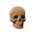 фото 6 - Картонный конструктор "Cartonic 3D Puzzle SKULL" 1DEA.me