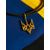зображення 4 - Ексклюзивний набір Державності Прапор, герб, гімн.
