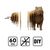 зображення 8 - Картонний конструктор "Cartonic 3D Puzzle CAPYBARA"