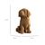 фото 4 - Картонний конструктор "Cartonic 3D Puzzle LABRADOR PUPPY"