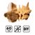 фото 13 - Картонный конструктор "Cartonic 3D Puzzle CORGI" 1DEA.me