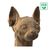 зображення 7 - Картонний конструктор "Cartonic 3D Puzzle Sphynx cat" 1DEA.me