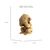 фото 9 - Cartonic 3D Puzzle MONKEYS TRIO