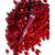 зображення 2 - Lipper-блиск Pomegranate Wine Lipss
