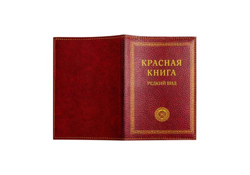 фото 2 - Обложка для паспорта Papadesign "Красная книга" 13,5*10