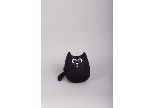 зображення 1 - Кіт EXPETRO "Міні" чорний