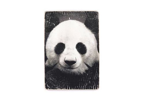 фото 1 - Постер "Panda #1"