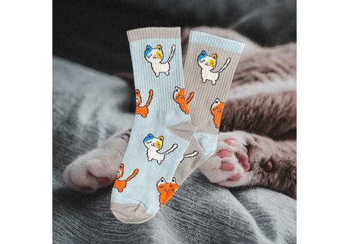 зображення 2 - Шкарпетки Dobro Socks "Котики"