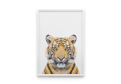 зображення 1 - Постер Cool Poster "Тигра в кадре"