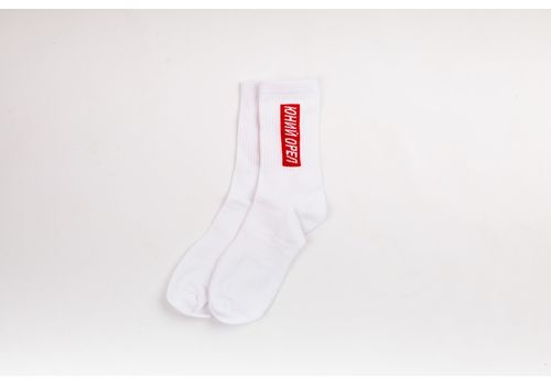 зображення 2 - Шкарпетки With you "Юний орел" білі
