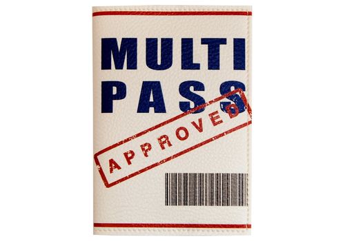 фото 1 - Обложка для паспорта papadesign "Multipass" 13,5*10