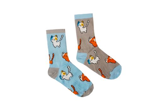 зображення 1 - Шкарпетки Dobro Socks "Котики"