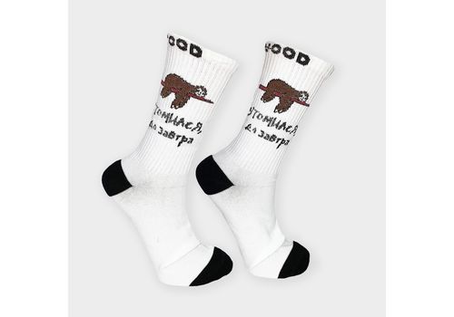 зображення 1 - Шкарпетки Driftwood Socks "Лінивець" білі