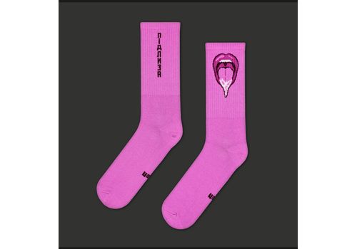 зображення 1 - Шкарпетки Підлиза ЦЕХ