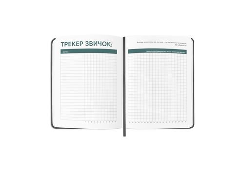 фото 4 - Планер-дневник "Мои ежедневные планы" серый ORNER