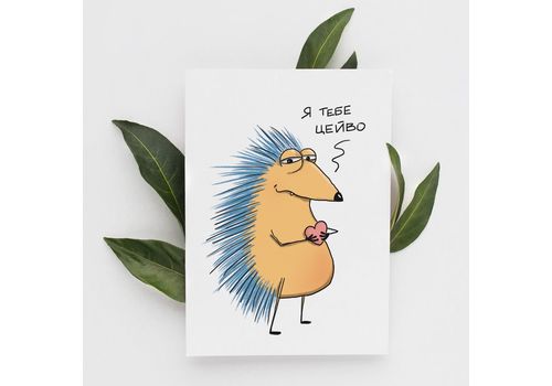 фото 2 - Открытка с Ежом Цейво Gifty