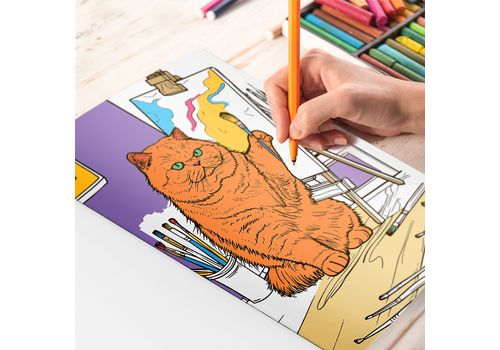 зображення 1 - Розмальовка "Фантастична РозМЯУльовка" ORNER