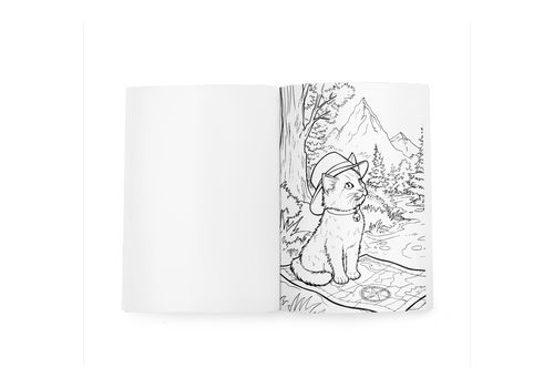 зображення 5 - Розмальовка "Фантастична РозМЯУльовка" ORNER