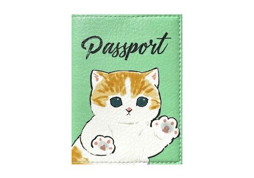 зображення 1 - Обкладинка на паспорт Passporty