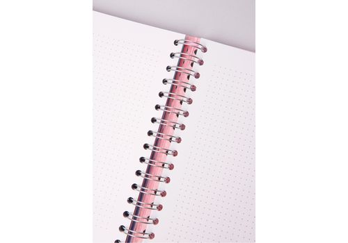 фото 9 - Блокнот Orner Store  "I HAVE A PLAN pink planner" A5