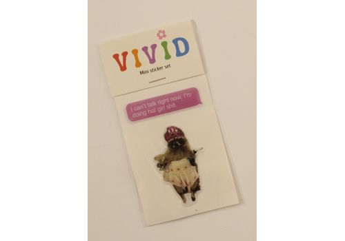 зображення 1 - Стікерпак mini єнот vivid