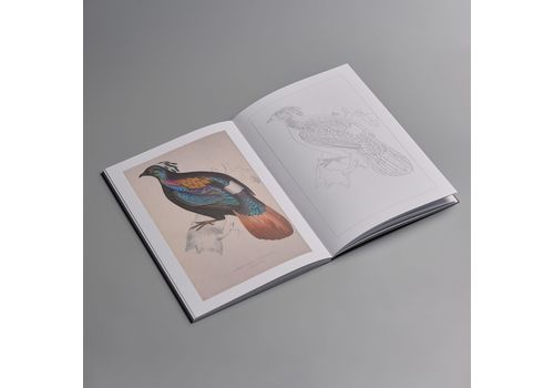 фото 10 - Пушистая мальовка