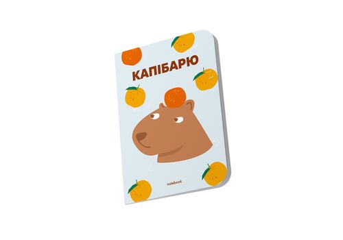 фото 5 - Блокнот Капибарю голубой ORNER