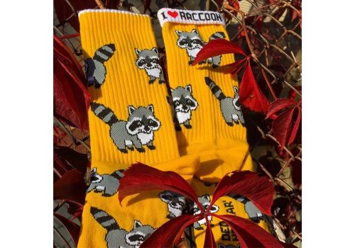 зображення 1 - Шкарпетки Ded Noskar' "Raccoon"з єнотами