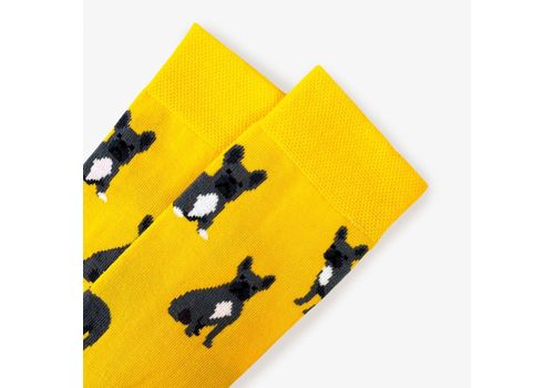 фото 2 - Шкарпетки "Французькі бульдоги" Prizmo