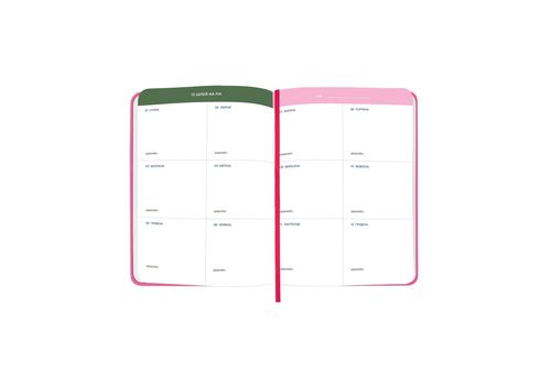 фото 15 - Блокнот для планирования "I HAVE NO PLAN AT ALL" розовый ORNER