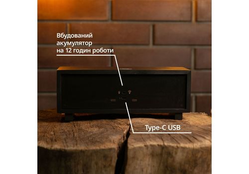 фото 4 - Ночник-панорама Ночной лес, черный (LED, Акумулятор, USB Type-C)