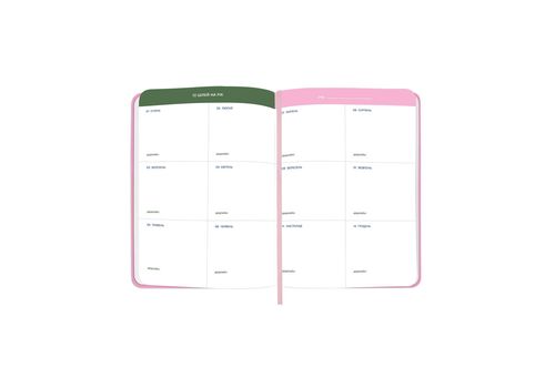 зображення 8 - Блокнот для планування "I HAVE ABSOLUTELY NO PLAN" рожевий ORNER